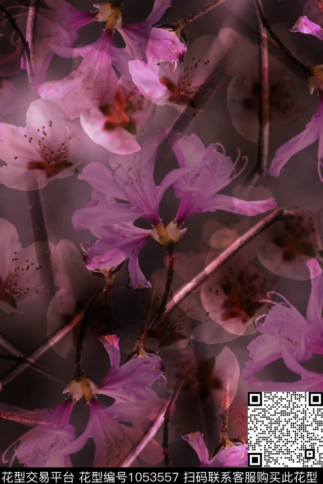 紫色花卉.jpg - 1053557 - 数码花型 花卉 女装 - 数码印花花型 － 女装花型设计 － 瓦栏