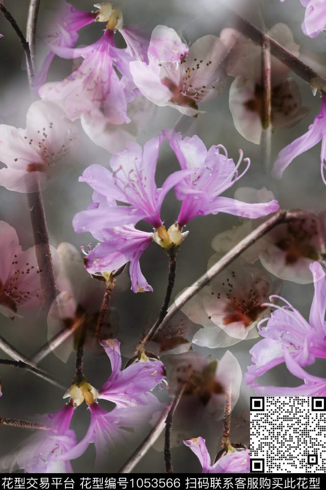 紫色花卉1.jpg - 1053566 - 数码花型 花卉 女装 - 数码印花花型 － 女装花型设计 － 瓦栏