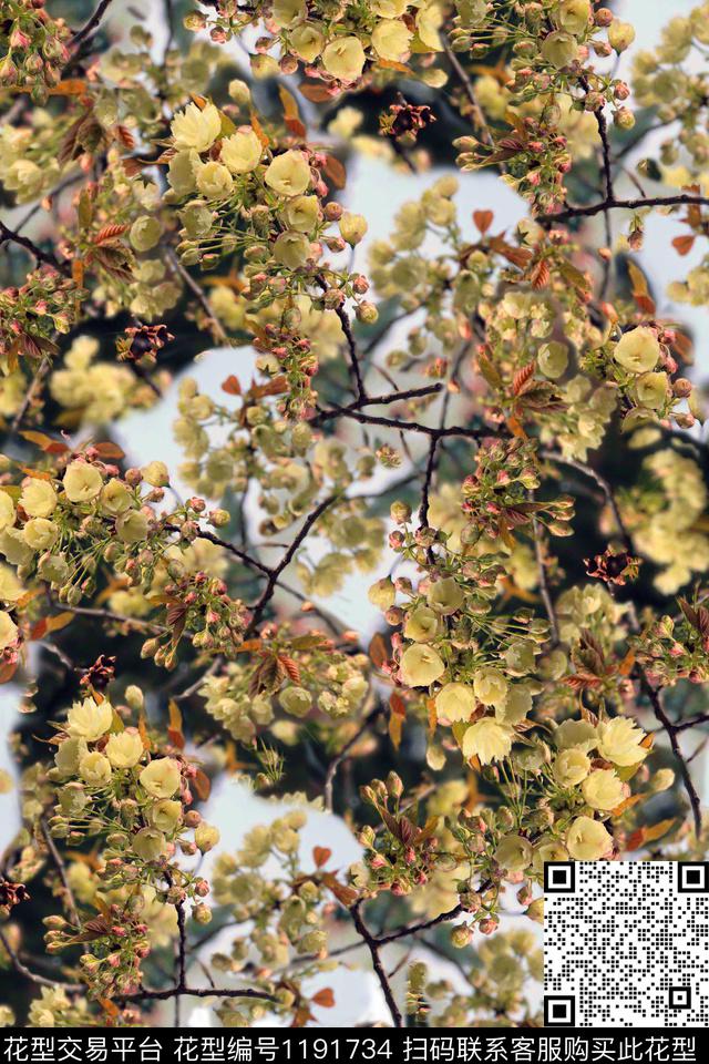 夏季樱花.jpg - 1191734 - 数码花型 绿植树叶 樱花 - 数码印花花型 － 女装花型设计 － 瓦栏