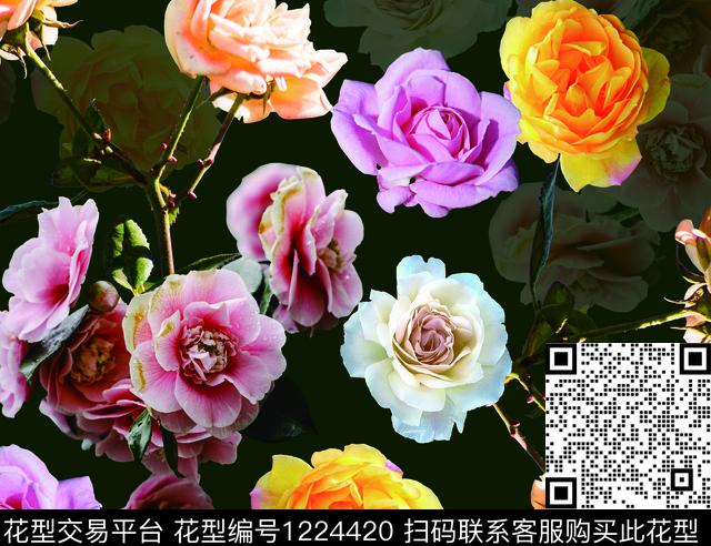 玫瑰1.jpg - 1224420 - 花卉 大花 - 数码印花花型 － 女装花型设计 － 瓦栏