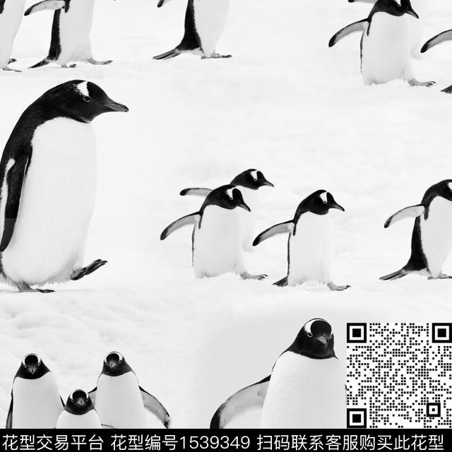 R2305042.jpg - 1539349 - 趣味 企鹅 羽绒服印花 - 数码印花花型 － 男装花型设计 － 瓦栏