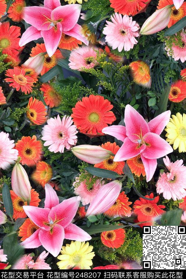数码百合花太阳花大花朵 - 248207 - 写实照片花卉 花朵 百合 - 数码印花花型 － 女装花型设计 － 瓦栏