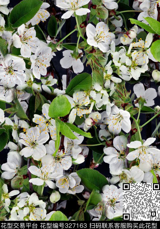 meihua.tif - 327163 - 循环花型 - 数码印花花型 － 女装花型设计 － 瓦栏