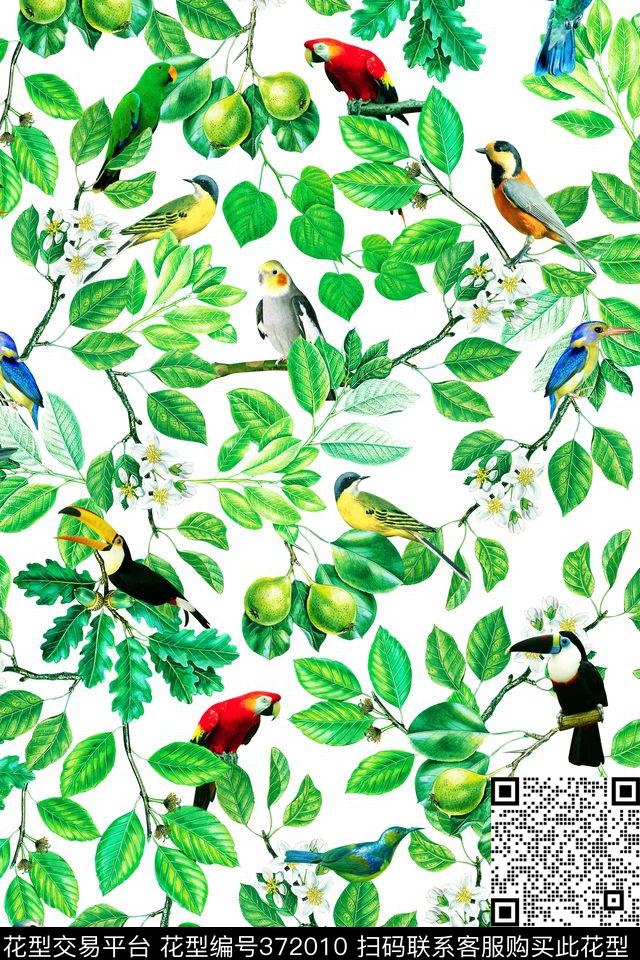 热带风情花鸟纹 - 372010 - 热带植物 花卉 鸟 - 数码印花花型 － 女装花型设计 － 瓦栏