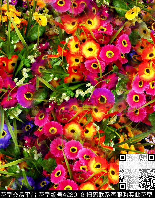花卉 - 428016 - 满版 花 兰草 - 数码印花花型 － 女装花型设计 － 瓦栏