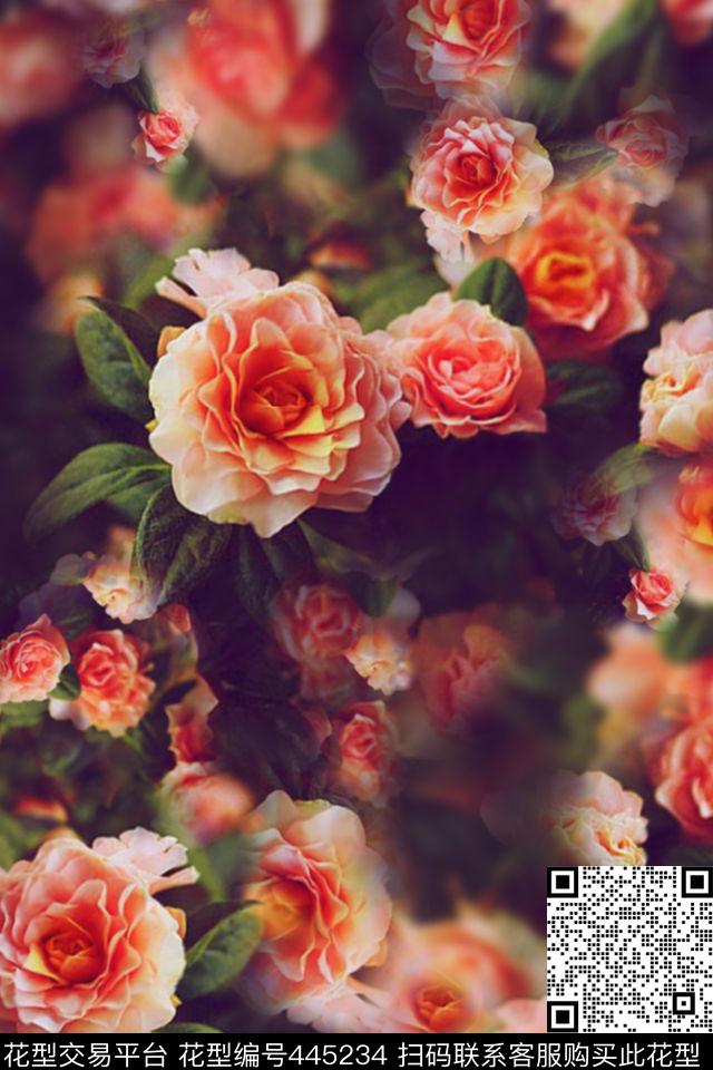 写实梦幻丝绸花卉 - 445234 - 蔷薇 暗地 花卉 - 传统印花花型 － 女装花型设计 － 瓦栏