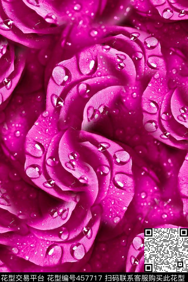 妖姬花卉纹理 - 457717 - 花卉 水珠 花边 - 数码印花花型 － 女装花型设计 － 瓦栏