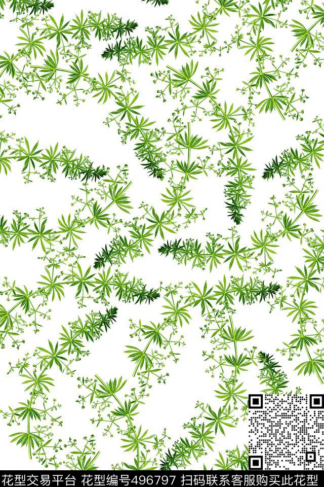 田园风水草绿色植物女装衬衫连衣裙花型 - 496797 - 田园风 水草 绿色植物 - 数码印花花型 － 女装花型设计 － 瓦栏