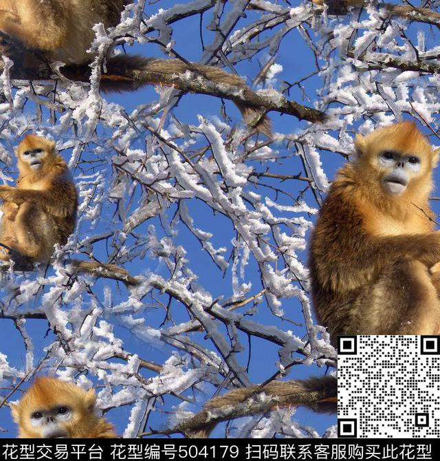 寒冬中的猴子 雾凇 猕猴 - 504179 - 风景 雾凇 猕猴 - 数码印花花型 － 女装花型设计 － 瓦栏