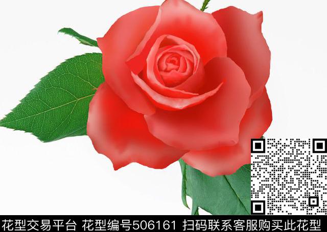 玫瑰花 - 506161 - 美丽 鲜艳 单一 玫瑰花 数码印花 - 数码印花花型 － 其他花型设计 － 瓦栏