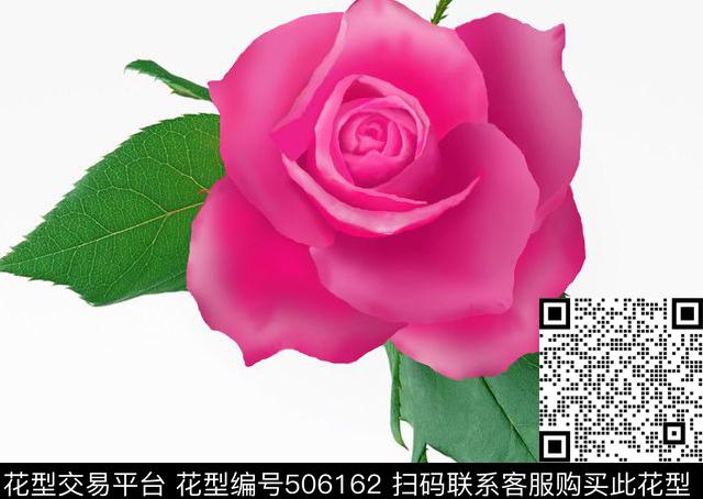 玫瑰花 - 506162 - 美丽 鲜艳 单一 玫瑰花 数码印花 - 数码印花花型 － 其他花型设计 － 瓦栏