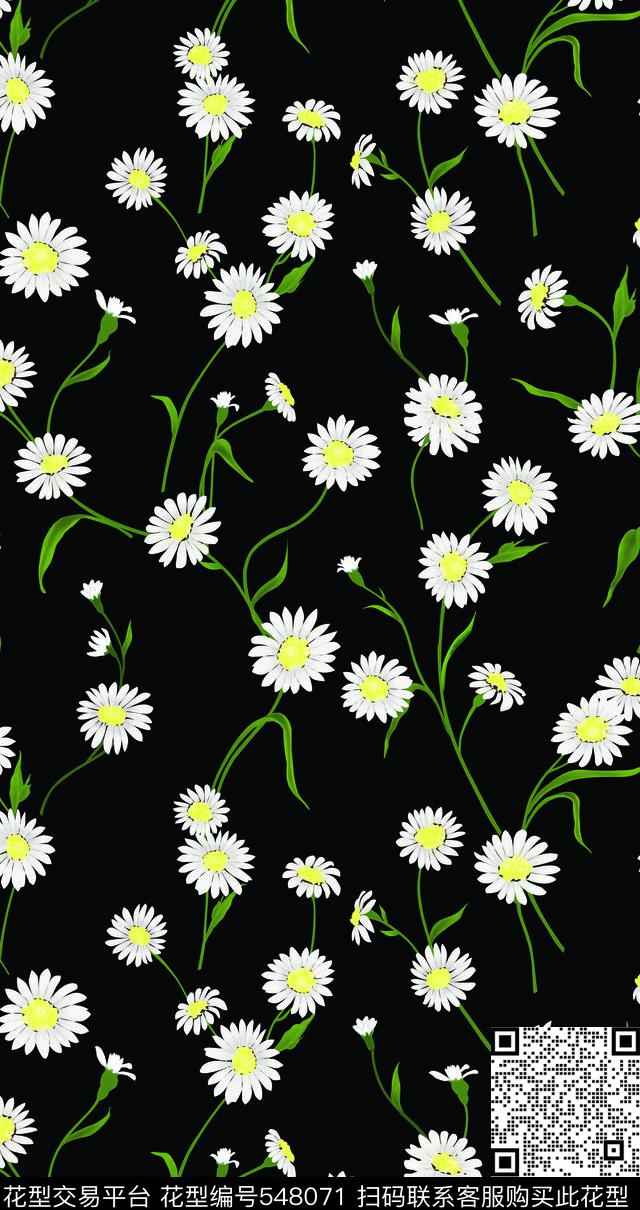 欧美 时尚 大牌 D&G 花卉 印花 - 548071 - 雏菊 大牌 花卉 - 传统印花花型 － 女装花型设计 － 瓦栏