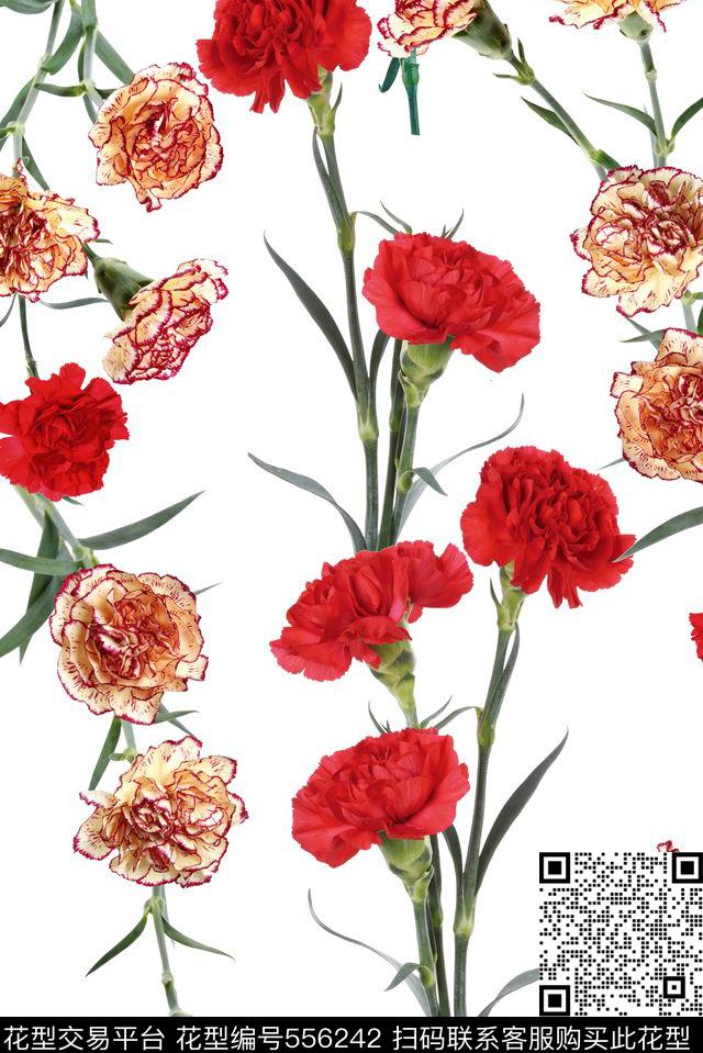 时尚女装康乃馨 - 556242 - 专色底 康乃馨 花卉 - 数码印花花型 － 女装花型设计 － 瓦栏
