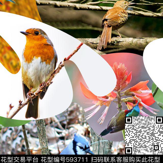 原创迷彩鸟拼接花型 - 593711 - 坯布 原创 鸟 - 数码印花花型 － 箱包花型设计 － 瓦栏