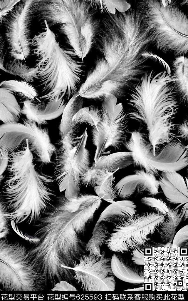 hg0502e.jpg - 625593 - 羽毛 黑白 羽绒服 - 数码印花花型 － 女装花型设计 － 瓦栏