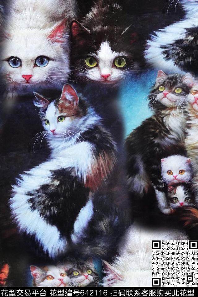 FY0283.jpg - 642116 - 动物 油画 猫 - 数码印花花型 － 女装花型设计 － 瓦栏
