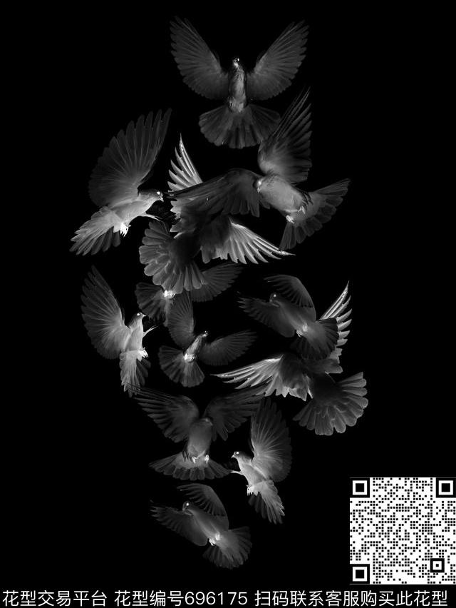 黑鸽子，.jpg - 696175 - 黑鸽子 时尚原创男装花 适用于卫衣T恤夹克花型 - 数码印花花型 － 男装花型设计 － 瓦栏