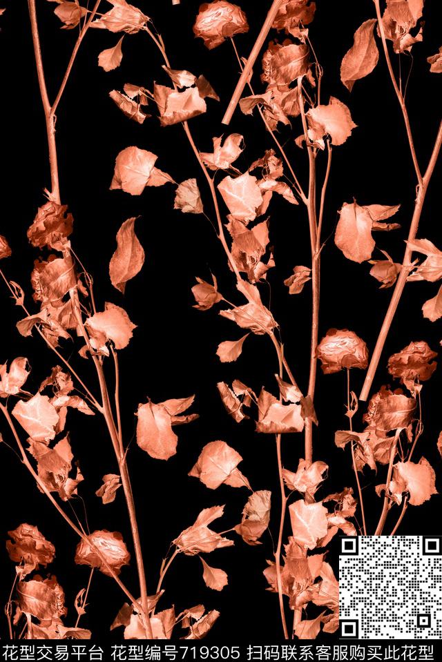 枯叶树枝玫瑰.jpg - 719305 - 枯叶 树枝 玫瑰 - 数码印花花型 － 女装花型设计 － 瓦栏