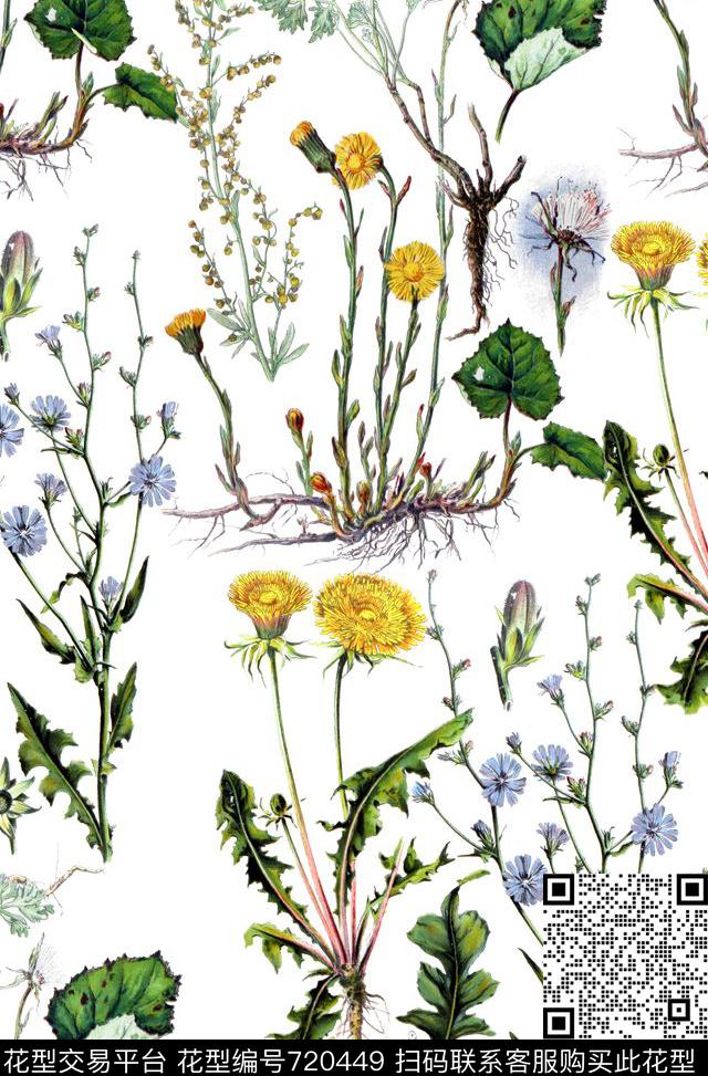 复古植物花卉白底.jpg - 720449 - 花卉 DG 手绘 - 数码印花花型 － 女装花型设计 － 瓦栏