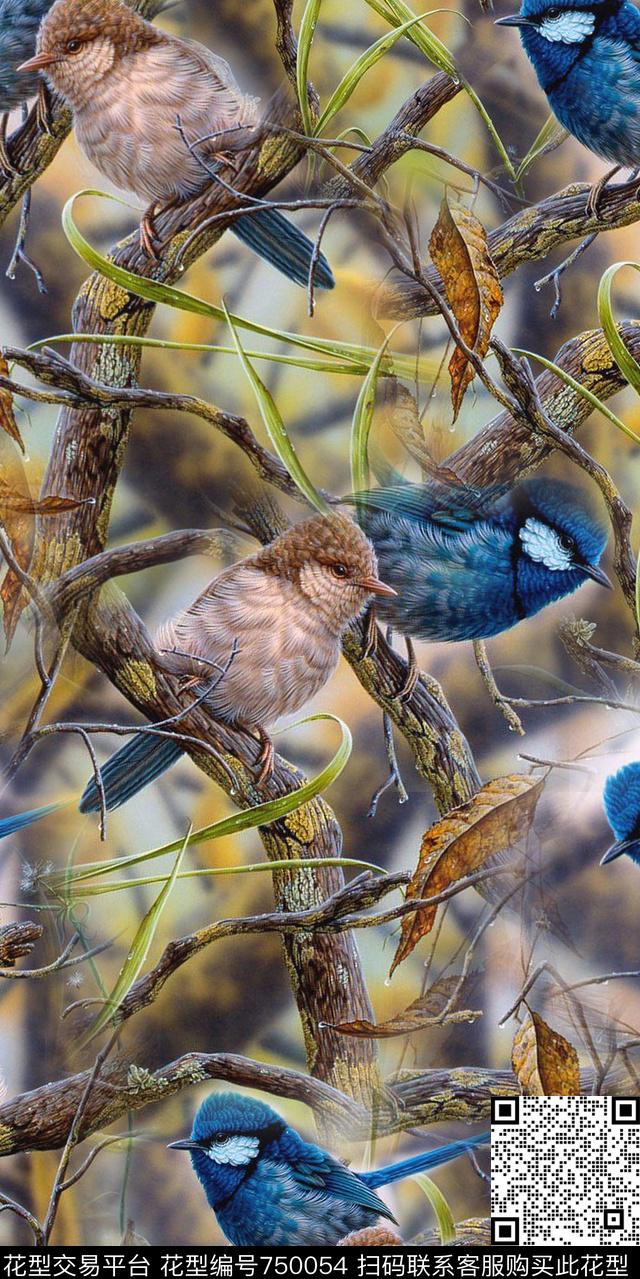 20161126-58S.jpg - 750054 - 花鸟 数码动物类 鸟 - 数码印花花型 － 女装花型设计 － 瓦栏