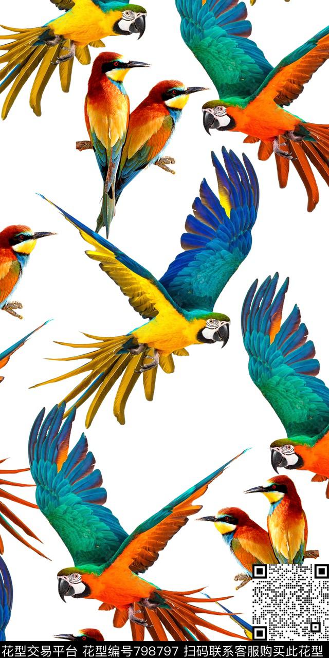 Qq17.03.07-5.jpg - 798797 - 手绘鸟 五颜六色的鸟 抽象鸟 - 数码印花花型 － 女装花型设计 － 瓦栏