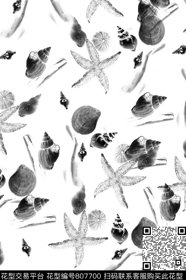 灰色海星贝壳.jpg - 807700 - 重复图案 贝壳 海星 - 传统印花花型 － 女装花型设计 － 瓦栏