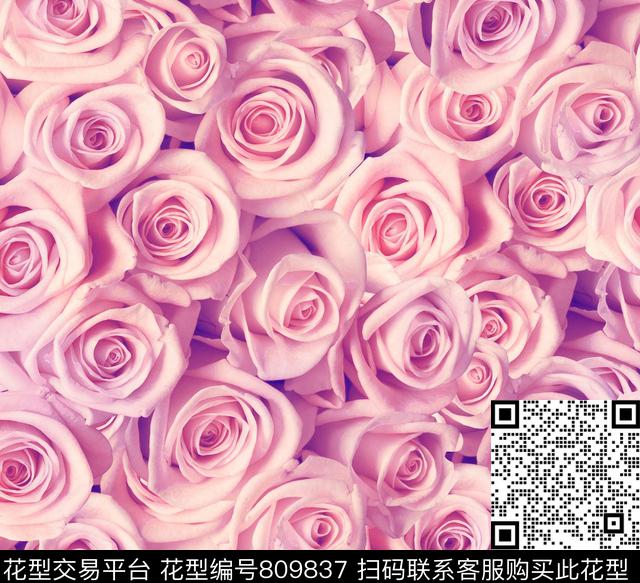 玫瑰花.tif - 809837 - 小碎花 小清新 玫瑰花 - 数码印花花型 － 女装花型设计 － 瓦栏