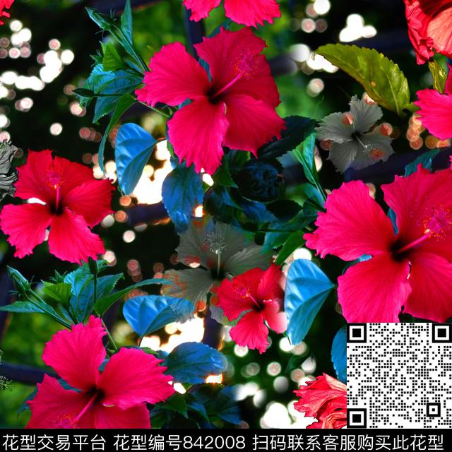 QHH-03066.jpg - 842008 - 花卉 扶桑花 朦胧花卉 - 数码印花花型 － 女装花型设计 － 瓦栏