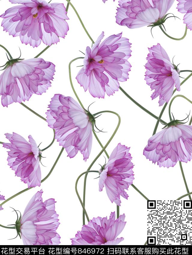 ld013白.png - 846972 - 花卉 花朵 时尚 - 数码印花花型 － 女装花型设计 － 瓦栏