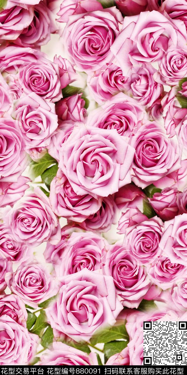 201706-27.jpg - 880091 - 玫瑰 花朵 花卉 - 数码印花花型 － 女装花型设计 － 瓦栏