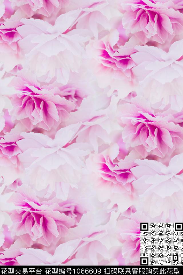 06牡丹紫红 .jpg - 1066609 - 数码花型 牡丹 花卉 - 数码印花花型 － 女装花型设计 － 瓦栏