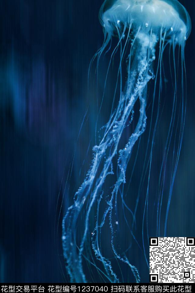 单只水母深蓝，40x660cm，独幅.jpg - 1237040 - 水母 海洋 深蓝 - 数码印花花型 － 女装花型设计 － 瓦栏
