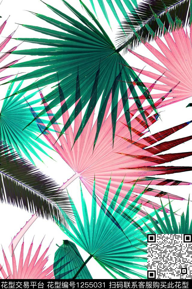 扇子叶子.jpg - 1255031 - 绿植树叶 沙发布 沙滩 - 数码印花花型 － 女装花型设计 － 瓦栏