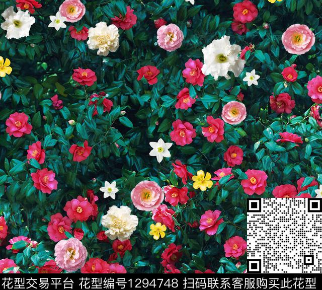 DZMF-6226B z1.jpg - 1294748 - 花卉 深圳 真丝 - 数码印花花型 － 女装花型设计 － 瓦栏