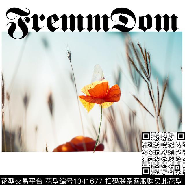 6.22.jpg - 1341677 - 字母 照片花卉 风景定位 - 数码印花花型 － 男装花型设计 － 瓦栏