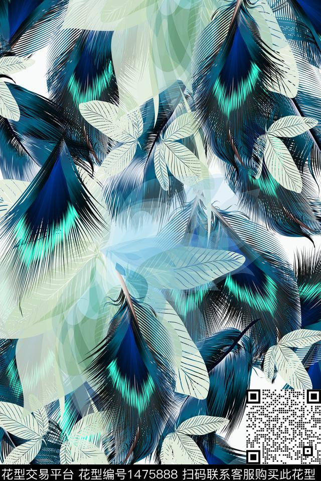 羽毛-1.jpg - 1475888 - 羽毛 动物纹 春夏花型 - 数码印花花型 － 女装花型设计 － 瓦栏