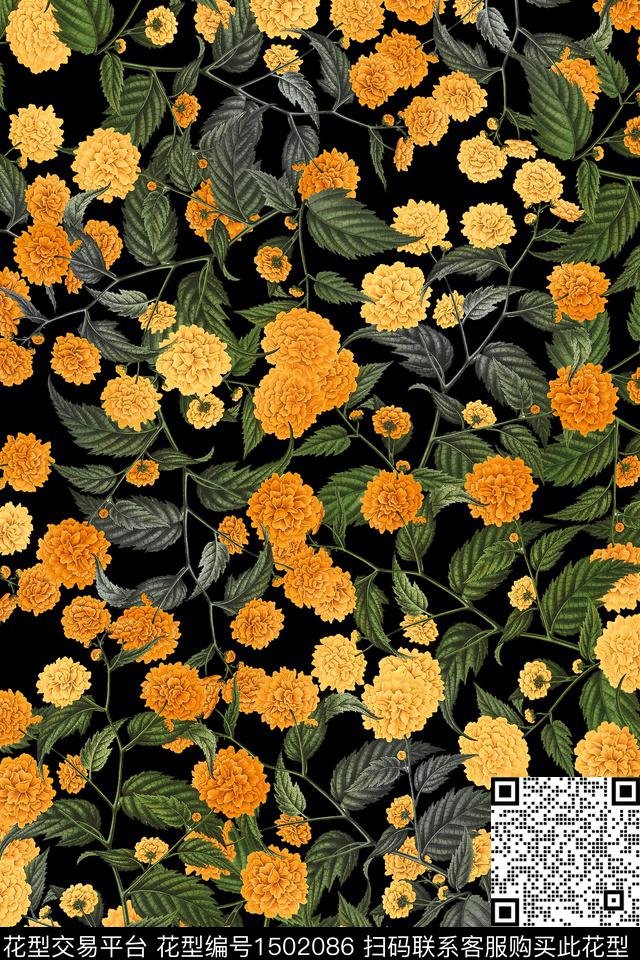 Z12872.jpg - 1502086 - 黑底花卉 花卉 大牌风 - 数码印花花型 － 女装花型设计 － 瓦栏