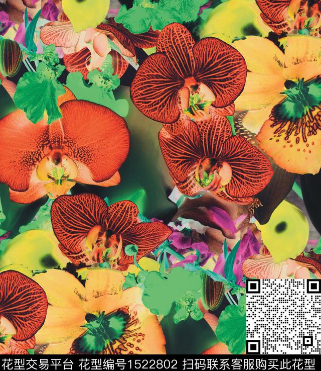 R2212036.jpg - 1522802 - 蝴蝶兰 中老年 大花 - 数码印花花型 － 女装花型设计 － 瓦栏