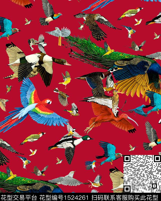 R2212097A.jpg - 1524261 - 鹦鹉 孔雀 鸟 - 数码印花花型 － 女装花型设计 － 瓦栏