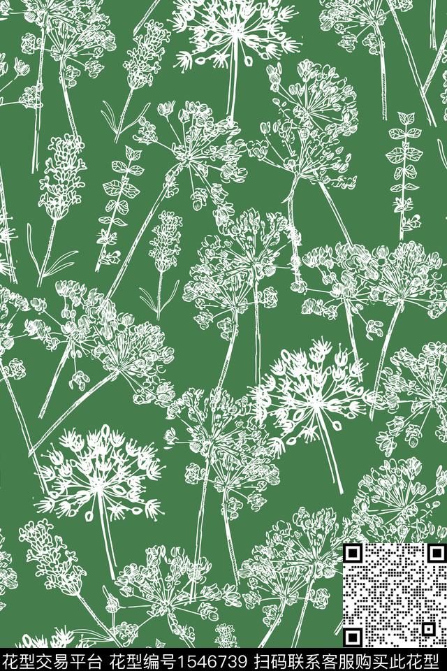蒲公英花卉素描传统印花花型下载（图片编号: 1546739） - 瓦栏（Walan）