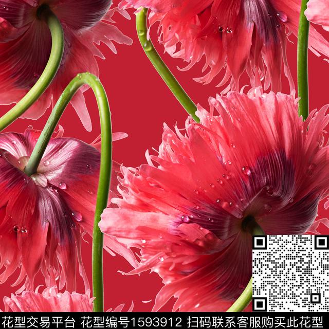 撞色手绘大花虞美人数码印花花型下载（图片编号: 1593912） - 瓦栏（Walan）