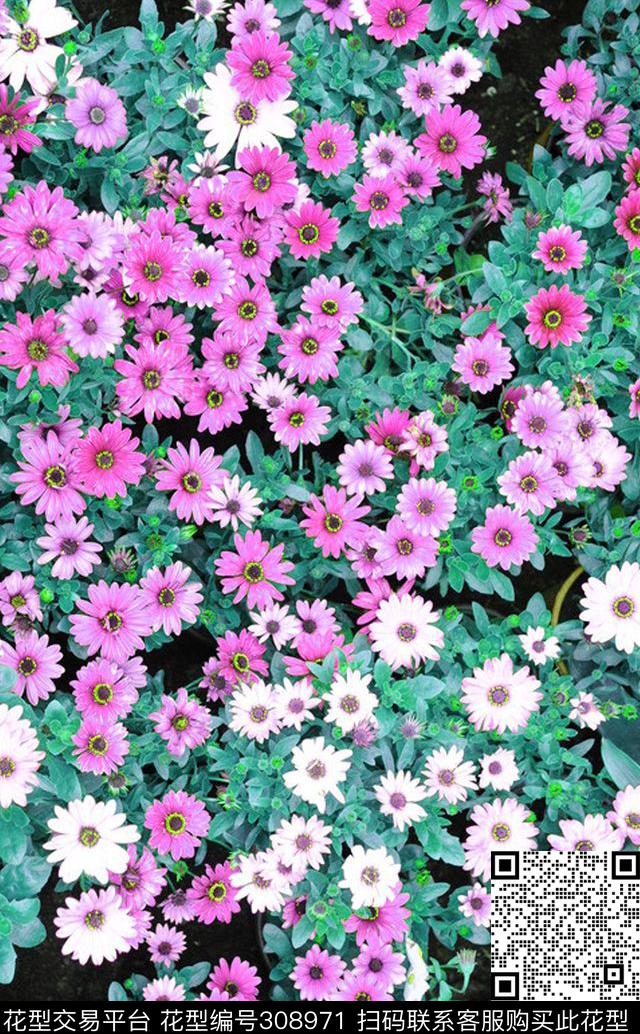 田园风花卉数码印花花型下载（图片编号: 308971） - 瓦栏（Walan）