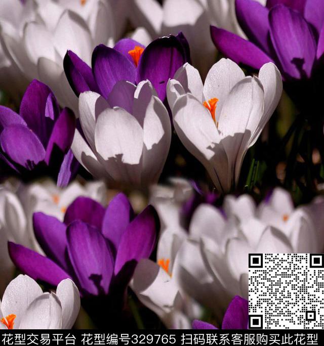田园风花卉数码印花花型下载（图片编号: 329765） - 瓦栏（Walan）