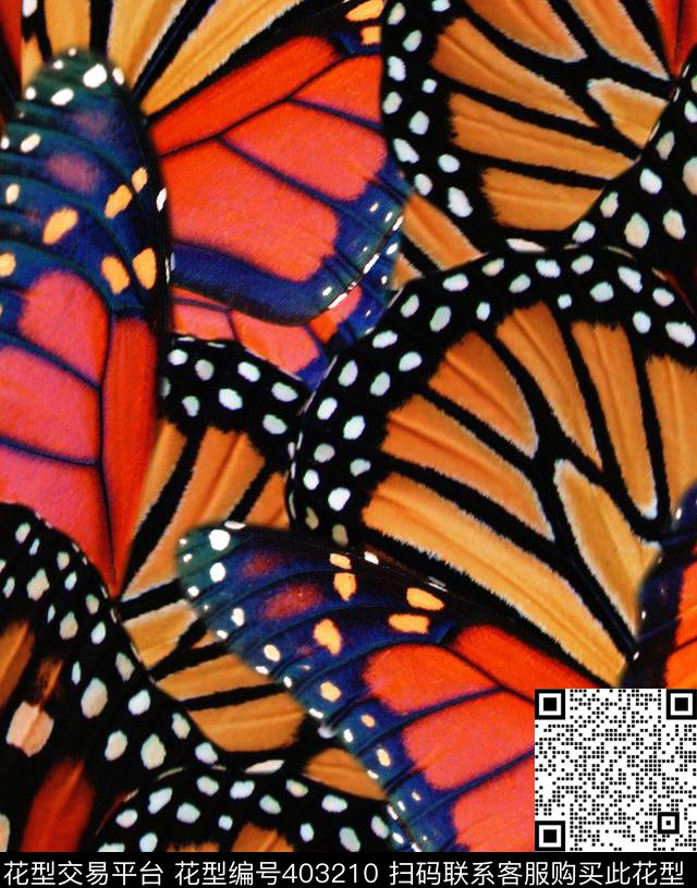 蝴蝶纹理100元买断区数码印花花型下载（图片编号: 403210） - 瓦栏（Walan）