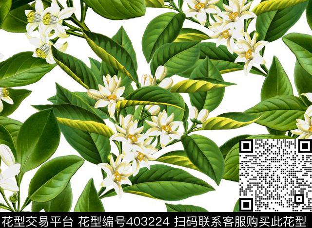 复古花卉100元买断区数码印花花型下载（图片编号: 403224） - 瓦栏（Walan）