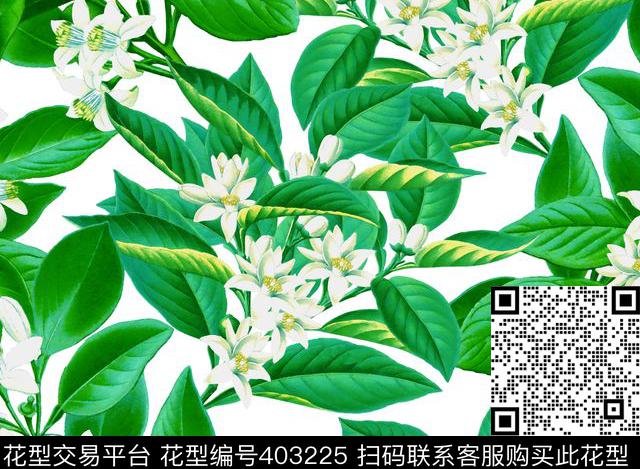 复古花卉100元买断区数码印花花型下载（图片编号: 403225） - 瓦栏（Walan）