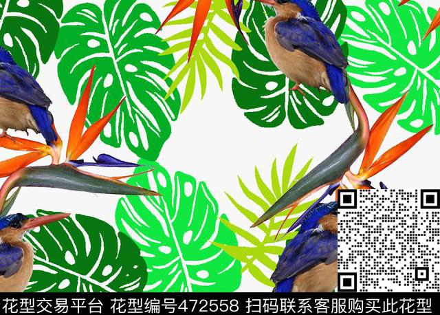  热带雨林 天堂鸟 - 472558 - 天堂鸟花 棕榈叶 芭蕉叶 - 数码印花花型 － 女装花型设计 － 瓦栏