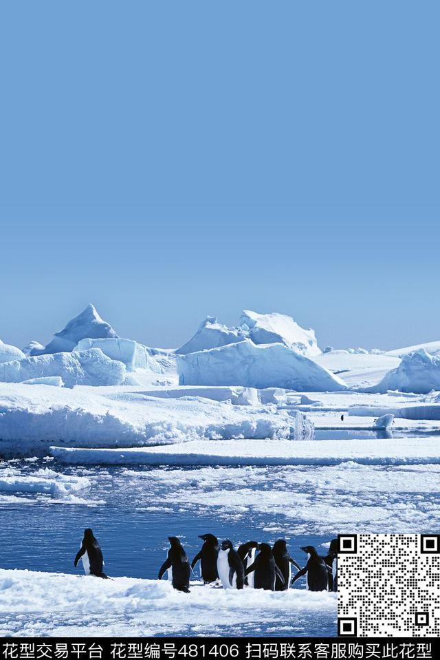 冰雪霜冻南极企鹅冰山冰川雪山羽绒服衬衣夹克外套 - 481406 - 冰雪 企鹅 南极 - 数码印花花型 － 女装花型设计 － 瓦栏