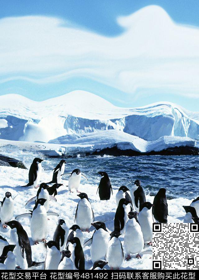 冰雪雪山海洋数码印花花型下载（图片编号: 481492） - 瓦栏（Walan）