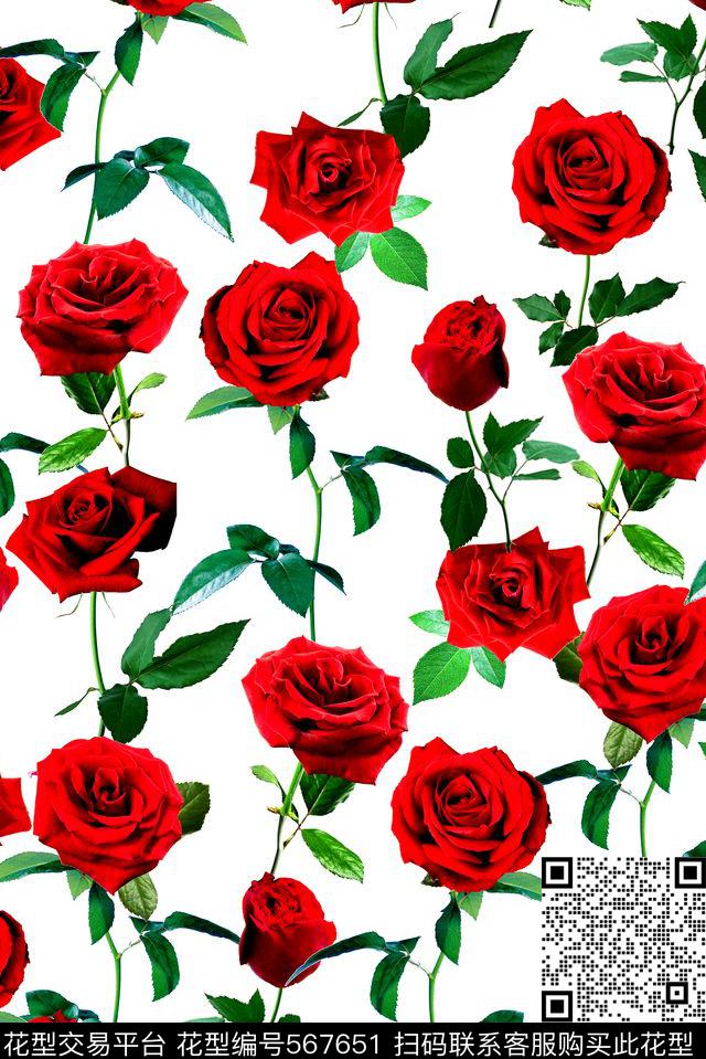 时尚玫瑰规则数码印花花型下载（图片编号: 567651） - 瓦栏（Walan）